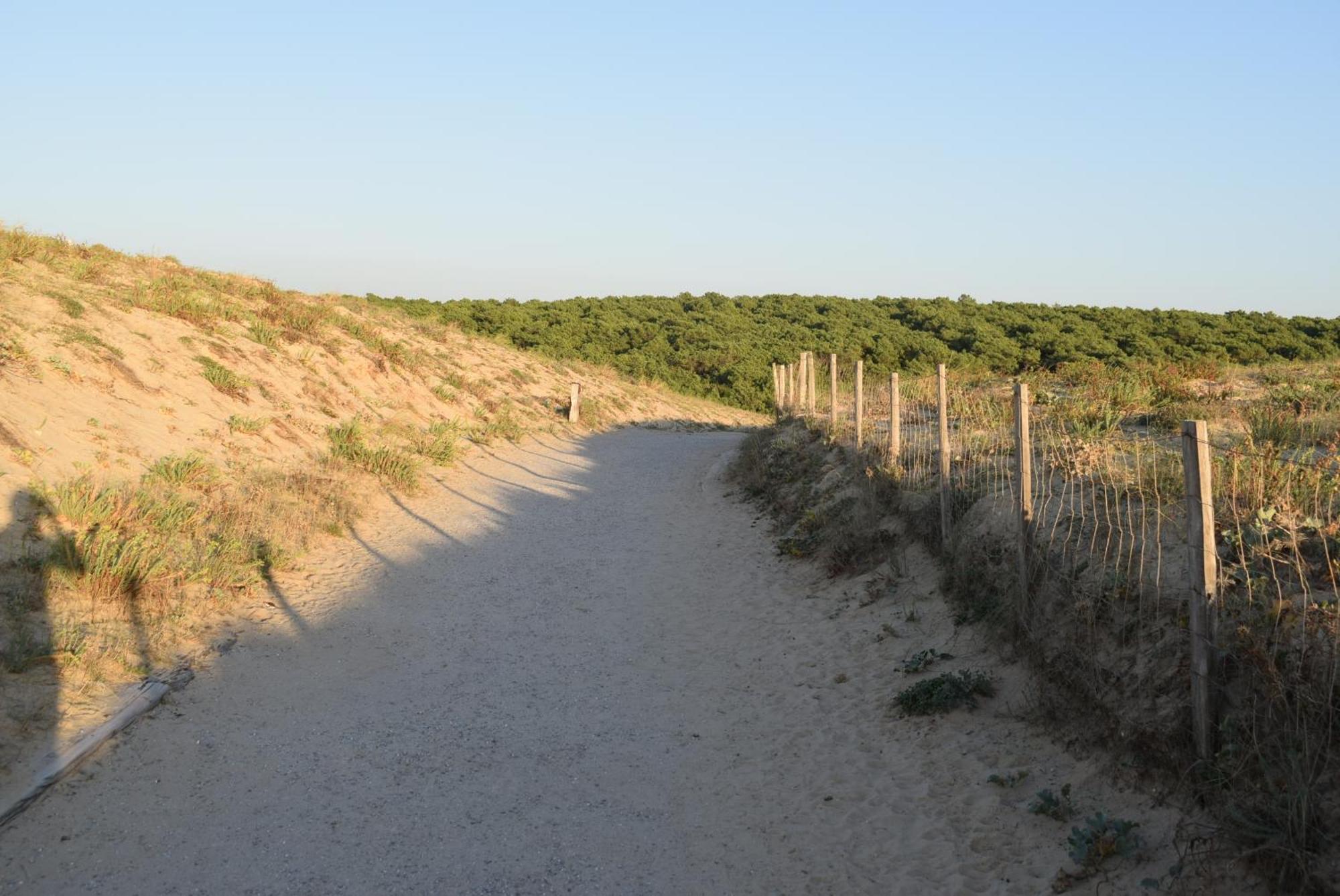 Evasion Cotiere Tranquillite Entre Foret Et Ocean Vielle-Saint-Girons Kültér fotó