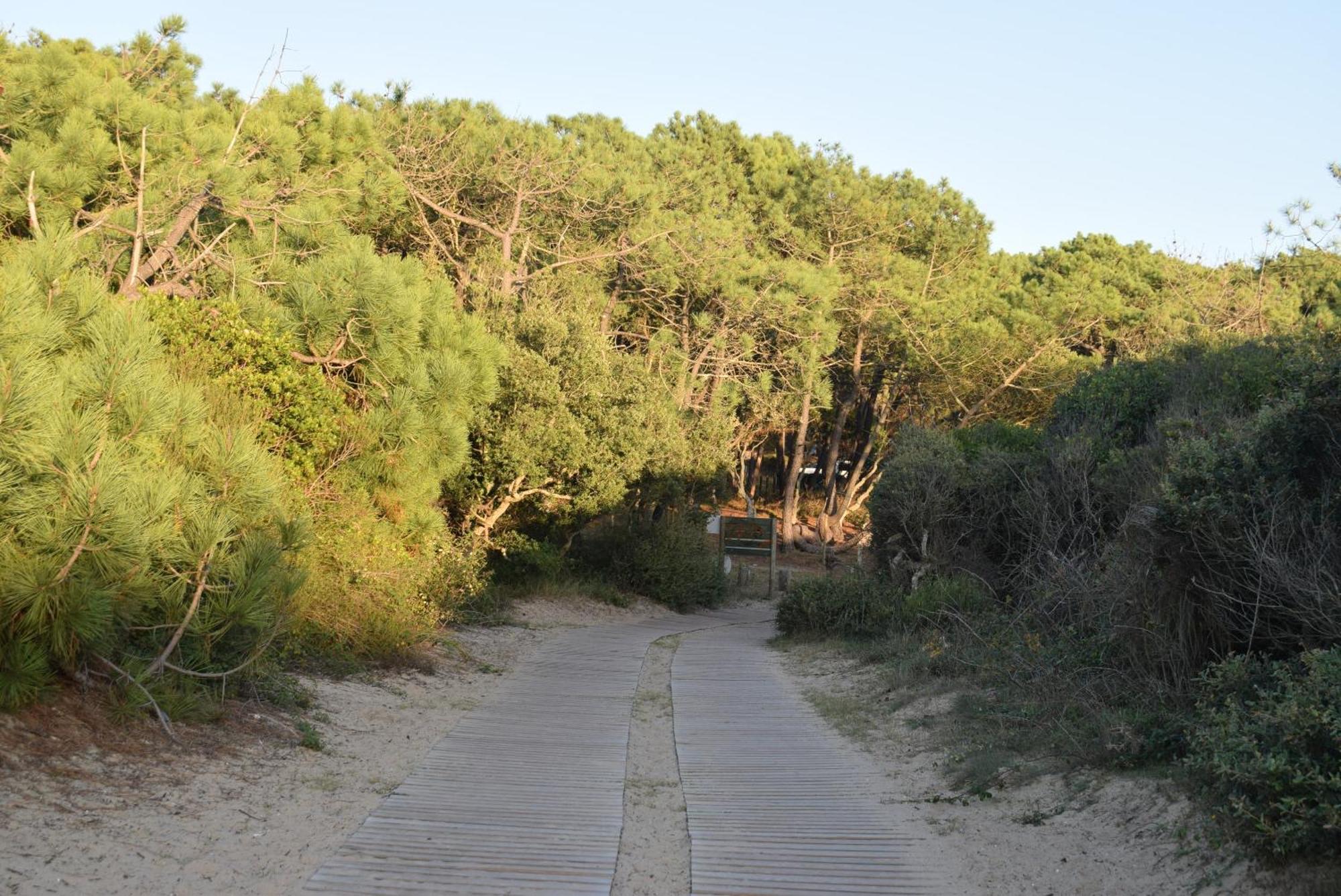 Evasion Cotiere Tranquillite Entre Foret Et Ocean Vielle-Saint-Girons Kültér fotó